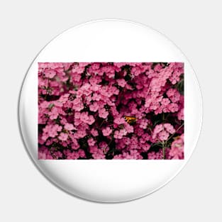 Pink Posies Pin