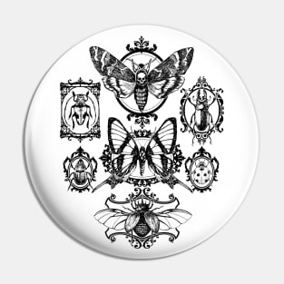 Framed Insects Pin
