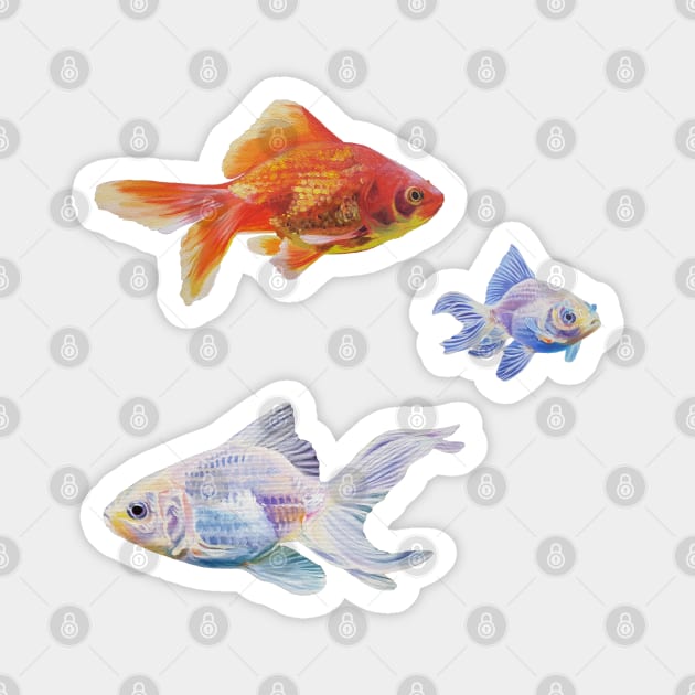 Goldfish Variety Pack - painted fish Magnet by EmilyBickell