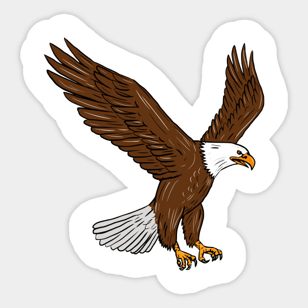 Bald Eagle Flying Drawing Bald Eagle Flying Drawing Sticker