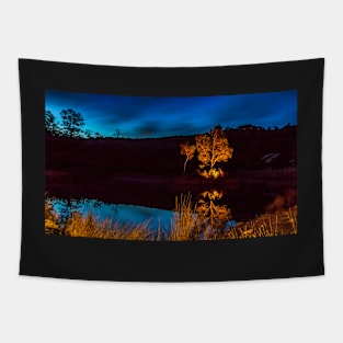 SUNSETS AND SUNRISES Tapestry