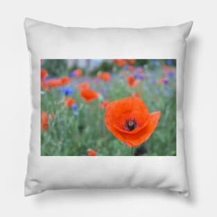 Poppies and cornflowers Pillow