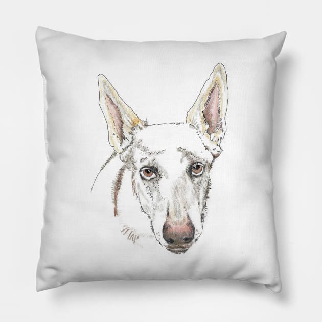 Saffy Pillow by Dr. Mary