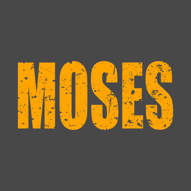 Moses - the man - the myth - the legend by AlternativeEye