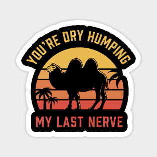 You're Dry Humping my last nerve Magnet