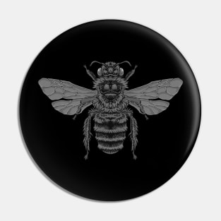 Bumble Bee B&W Pin