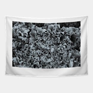 Lettuce Love BnW Texture Tapestry