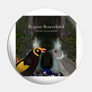 Regent Bowerbirds (text) Pin