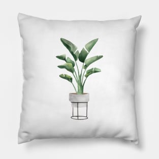 Banana Plant In Pot Pillow