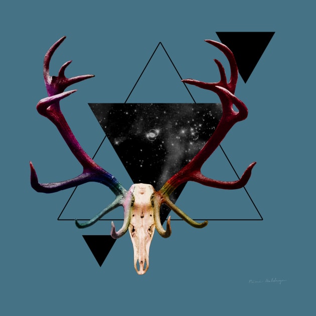 Cosmic Deer Skull by MaldwynArt