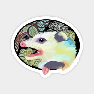 Opossum Magnet