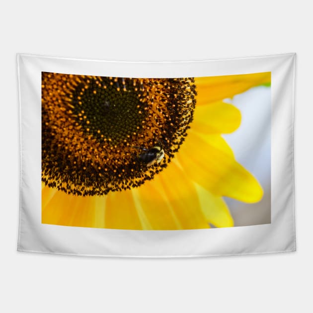 Bee and Sunflower Tapestry by srosu