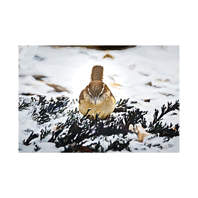 Curious Wren by Debra Martz by Debra Martz