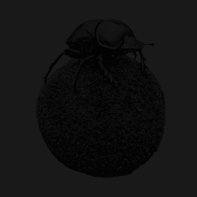 Dung Beetle on Dung Ball African Wildlife by scotch