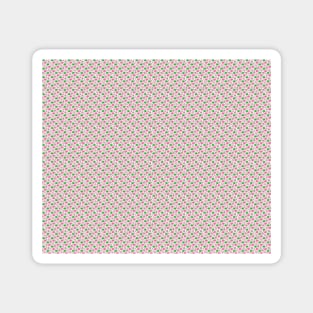 Pink Green Watermelon Turtles Magnet