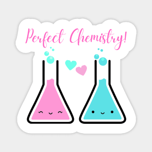 Perfect Chemistry Magnet