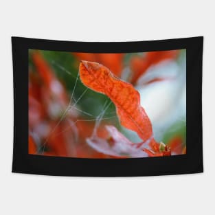 Autumn Flame Tapestry