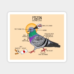 Pigeon[ometry] Magnet