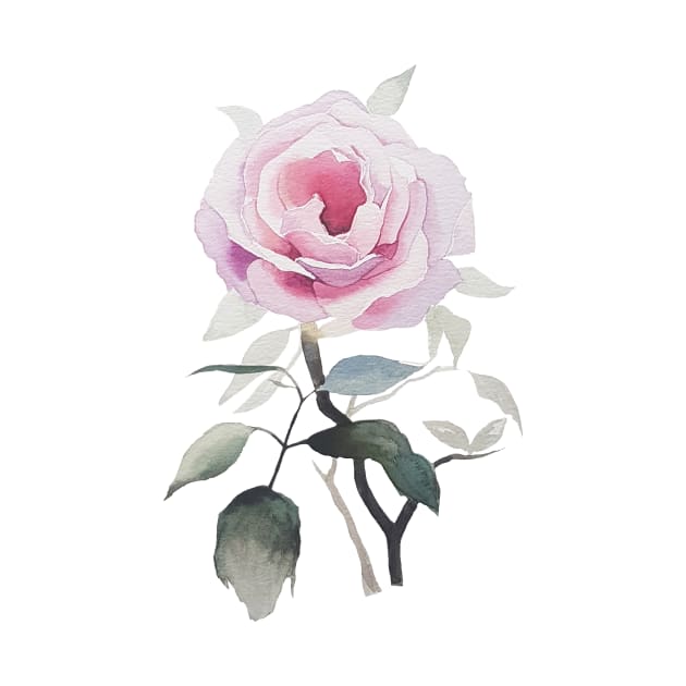 Rose Watercolour by Bergtanne