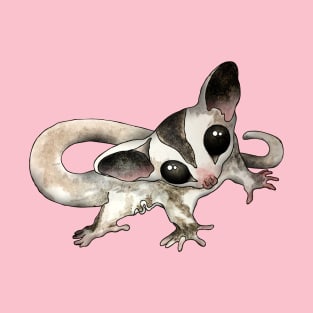 Cutest Sugar Glider T-Shirt