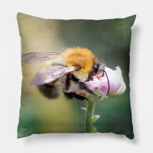 Bee Kind to Yourself Pillow