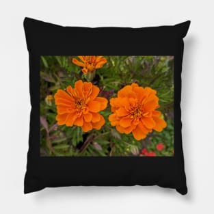 Pair of Orange Flowers Photographic Image Pillow