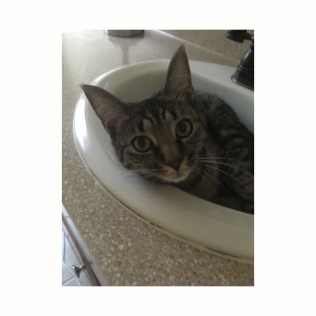 Sink Kitty by Amanda1775