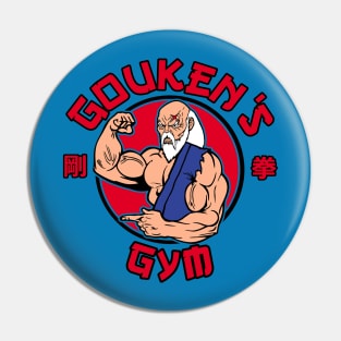 Master Gouken's Gym Pin