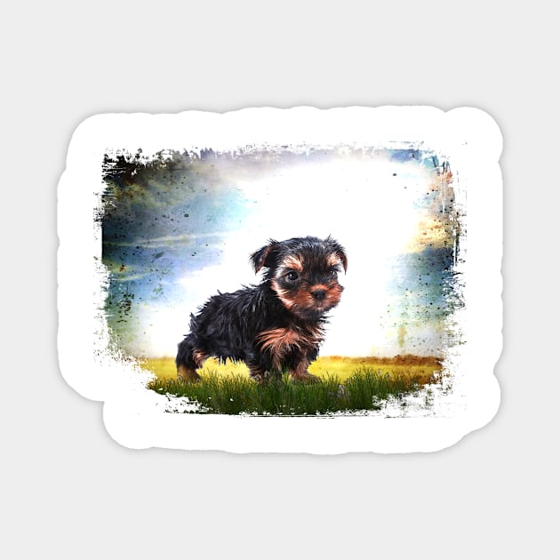 Yorkie On Grunge Magnet by PhotoArts