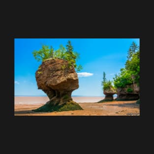 Hopewell Rocks, New Brunswick Canada T-Shirt