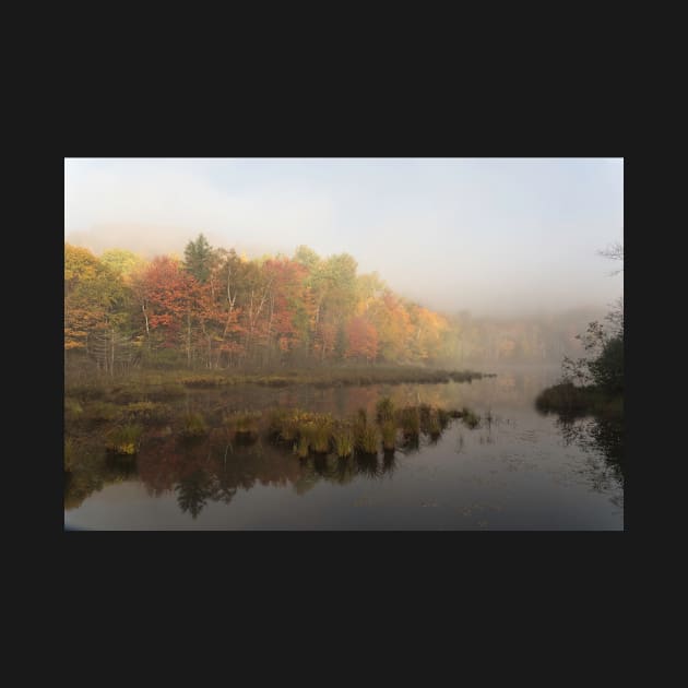 Fall colours over a lake in the early morning by josefpittner