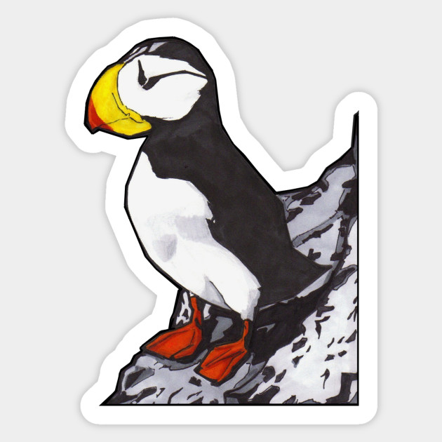 Puffin On Rock