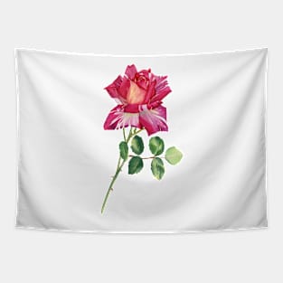 Colorful rose Tapestry