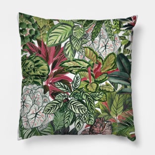 Urban Jungle Plant Lover Pillow