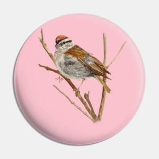 Perched Chipping Sparrow Pin