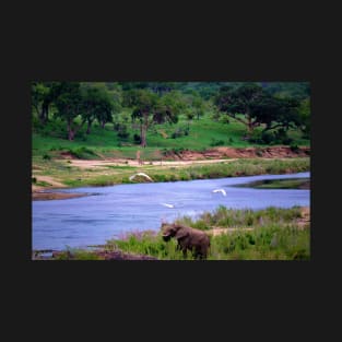 Elephant on the Crocodile River 3 T-Shirt