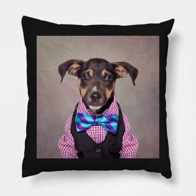 Shelter Pets Project - Hitch Pillow by TammySwarek