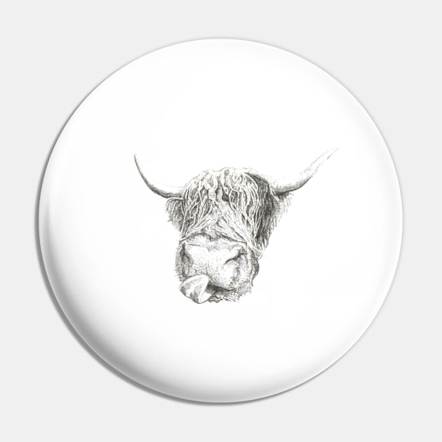 honey the scottish highland cow Pin by David Dots