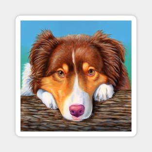 Red Tricolor Australian Shepherd Dog Magnet