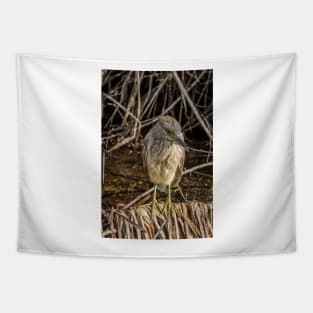 Juvenile Black Crowned Night Heron Tapestry