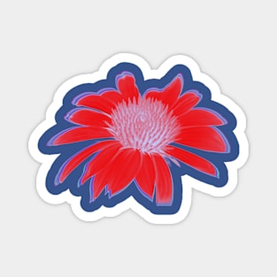 Red and Purple Blazing Daisy Magnet