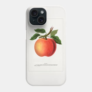 Gideon apple lithograph (1900) Phone Case