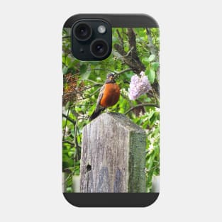 American Robin Standing On Top of a Post Phone Case