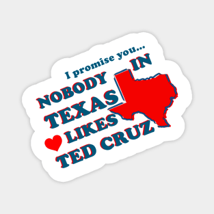 NOBODY IN TEXAS LIKES TED CRUZ Magnet