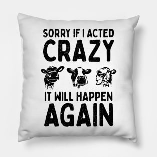 Sorry If I Acted Crazy It Will Happen Again Pillow