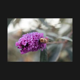 Flower is pollinated by a bee T-Shirt