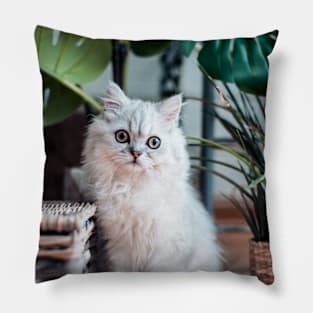 Beautiful White Cat Pet Animal Pillow