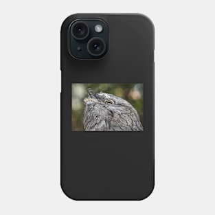 Tawny Frogmouth Resting Phone Case