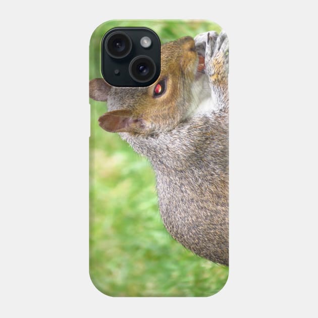 Squirrel Phone Case by Sveteroc