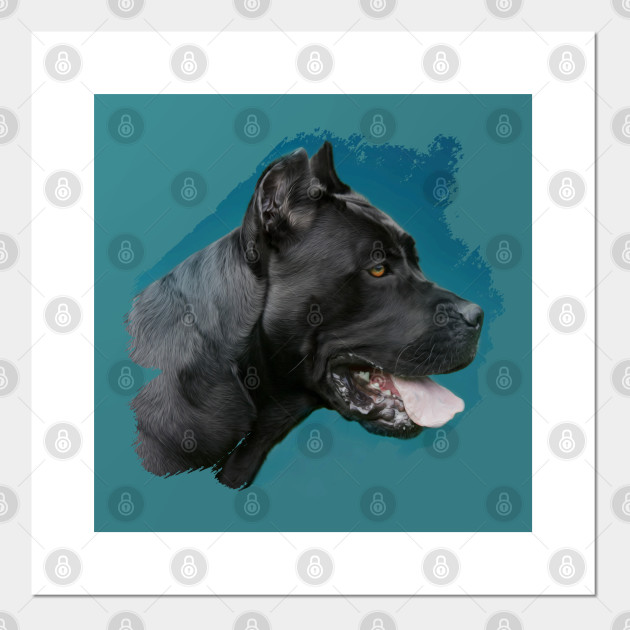 Cane Corso Italian Mastiff Cane Corso Affiche Et Impression D Art Teepublic Fr